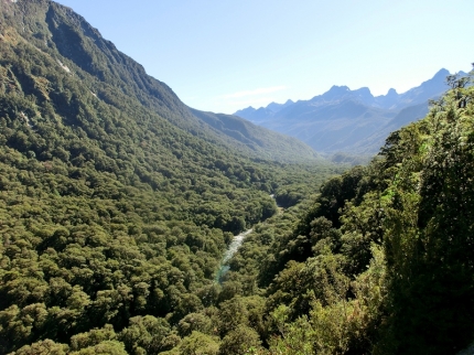 fjordland (06)